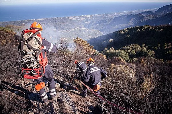 Feux de forêt en Corse