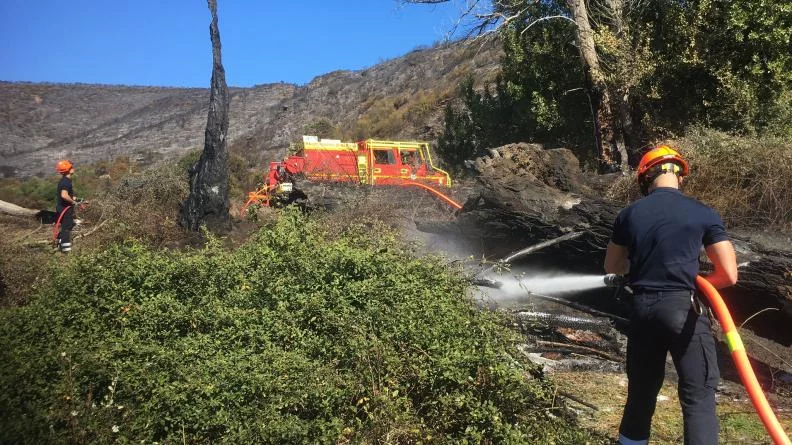 Des marins-pompiers combattent un incendie de forêt
